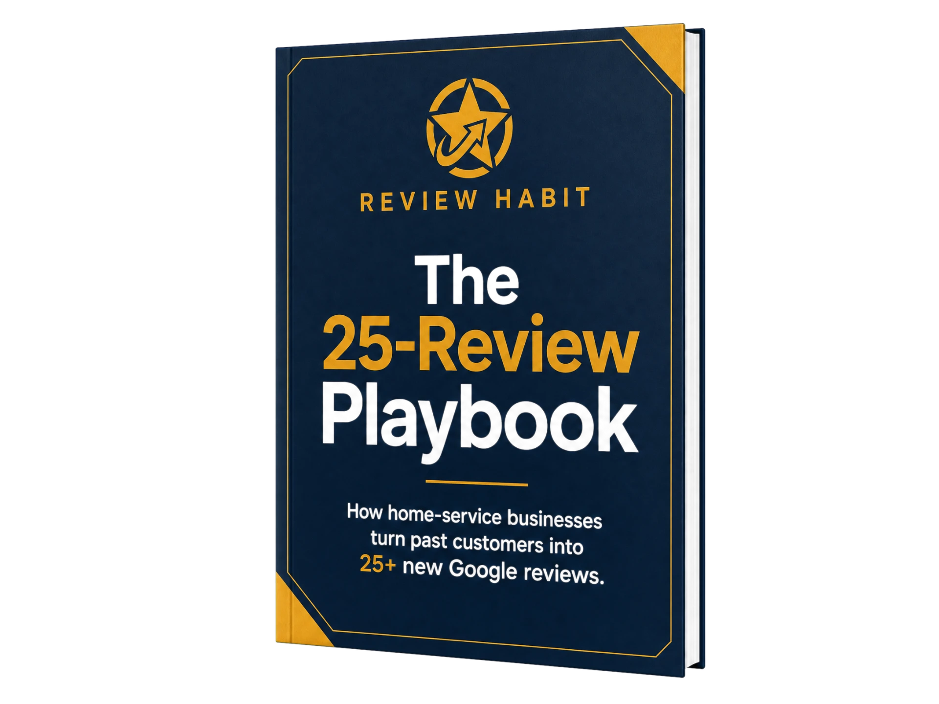 The 25-Review Playbook guide cover